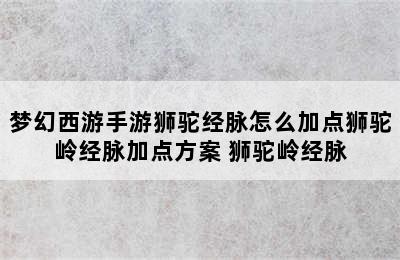 梦幻西游手游狮驼经脉怎么加点狮驼岭经脉加点方案 狮驼岭经脉